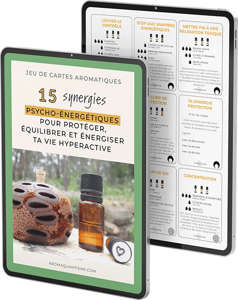 15 synergies psycho-énergétiques pour protéger, équilibrer et dynamiser ta vie hyperactive